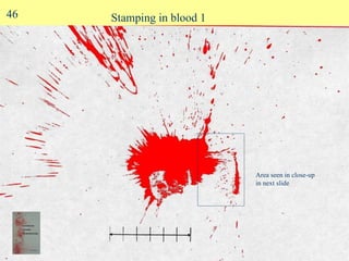 Stamping in blood 1 Area seen in close-up  in next slide 46 