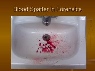 Blood Spatter in Forensics
 