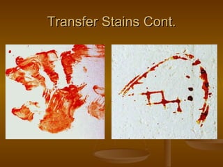 Blood spatter | PPT