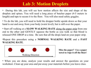 Lab 3: Motion Droplets
• During this lab, you will see how motion affects the size and shape of the
droplets and spines. You will need a long piece of butcher paper (4-5 meters in
length) and tape to secure it to the floor. You will also need safety goggles.
• To do the lab, you will need to hold the dropper bottle upside down so that your
hand is out and away from your body (waist level), but is still over the paper.
• Start off walking at a SLOW WALKING RATE along the paper strip from one
end to the other and GENTLY squeeze the bottle as you walk so that blood is
released ONE DROP at a time. Be sure that all the drops land on your paper strip.
•Repeat this procedure using a NORMAL WALKING RATE and a FAST
WALKING RATE.
Walking Direction
• When you are done, analyze your results and answer the questions on your
worksheet. Clean up your area and put away your materials before you leave class.
Miss the paper? Use a paper
towel to wipe it off the floor!
 