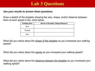 Use your results to answer these questions.
Draw a sketch of the droplets showing the size, shape, and/or distance between
them at each speed in the chart below.
What did you notice about the shape of the droplets as you increased your walking
speed?
What did you notice about the spines as you increased your walking speed?
What did you notice about the distance between the droplets as you increased your
walking speed?
Lab 3 Questions
 