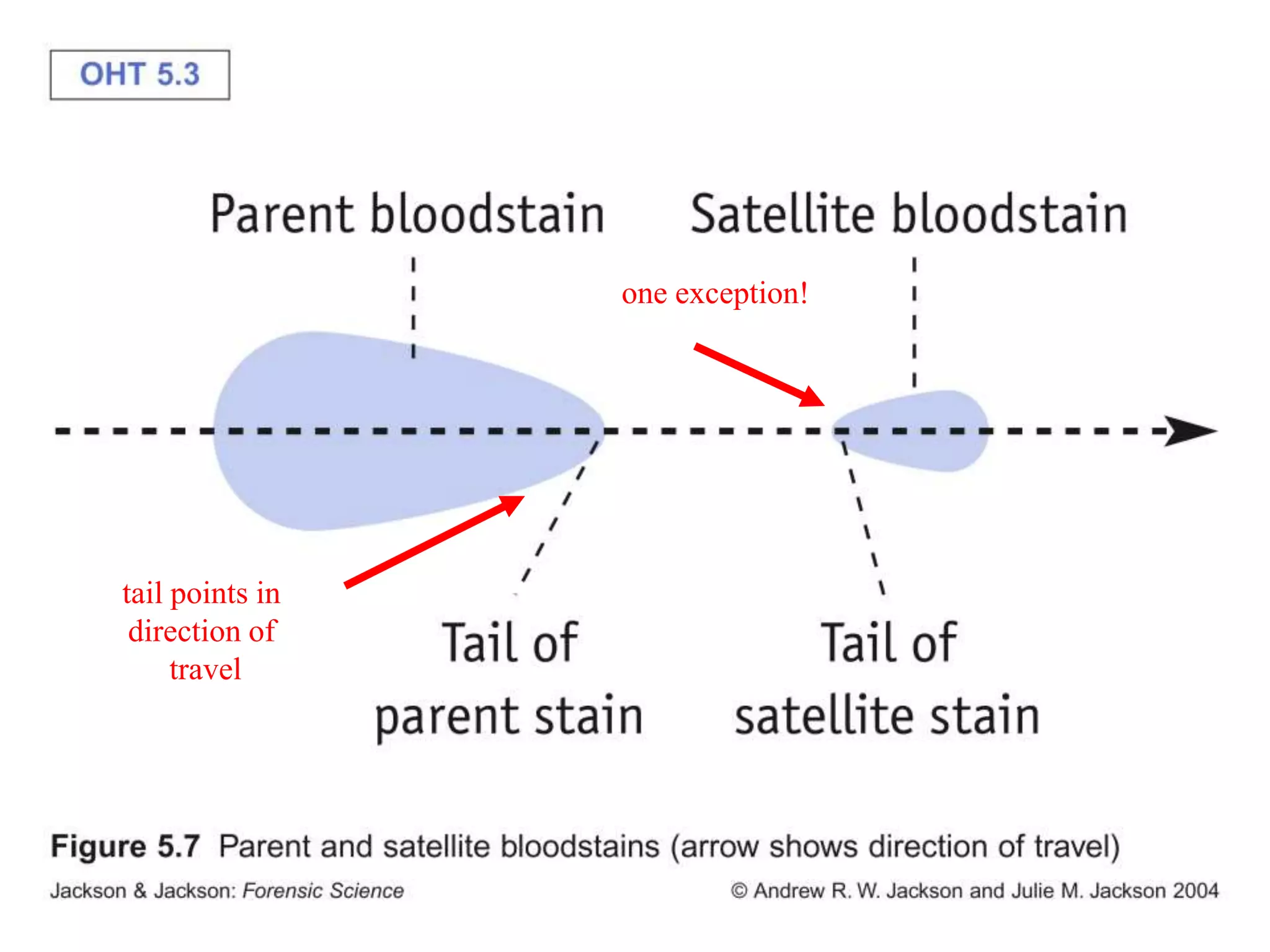 Unlocking Crime Scenes: The Secret Role Of Satellites In Blood Spatter Analysis - zjtifq3