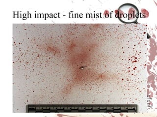 Blood spatter analysis | PPTX