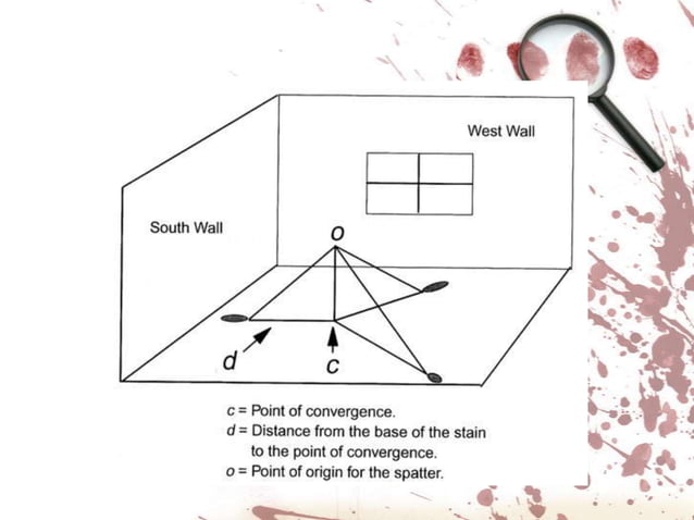 Blood spatter analysis | PPTX