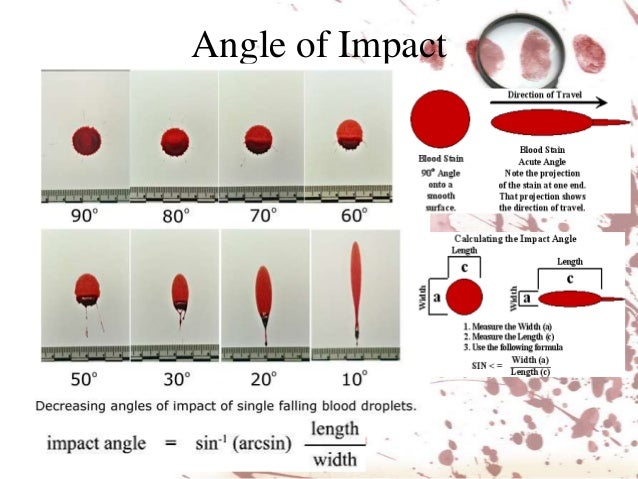 Blood spatter analysis