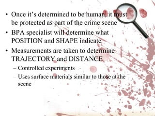 Blood EvidenceClass evidence for blood includes blood type. If you can determine the DNA, you will have individual evidence.  Bloodstain patterns are considered circumstantial evidence in a courtroom. Experts can argue many points, including direction of travel, height of the perpetrator, position of the victim, left/right hand, whether the body was moved, etc.