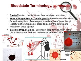 Bloodspatter analysis presentaation ppt.pptx