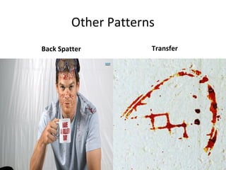 Blood Spatters Analysis | PPT