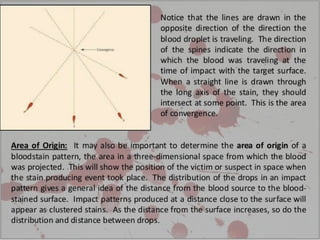 Blood Spatters Analysis | PPT