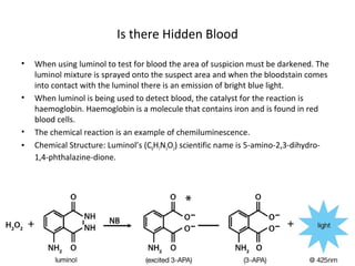 Blood Spatters Analysis | PPT