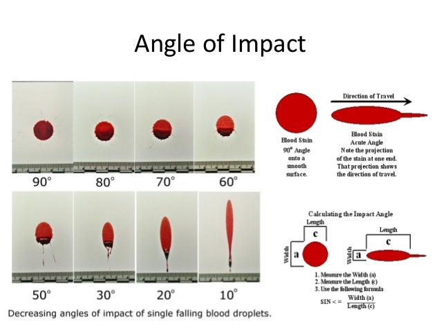 Angle Of Impact Blood Spatter Worksheet