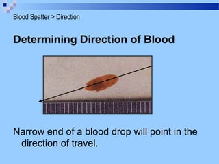Determining Direction of Blood
Narrow end of a blood drop will point in the
direction of travel.
Blood Spatter > Direction
 