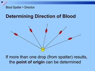 Determining Direction of Blood
If more than one drop (from spatter) results,
the point of origin can be determined
Blood Spatter > Direction
 