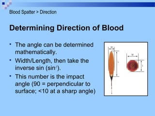 Determining Direction of Blood
 The angle can be determined
mathematically.
 Width/Length, then take the
inverse sin (sin-1
).
 This number is the impact
angle (90 = perpendicular to
surface; <10 at a sharp angle)
Blood Spatter > Direction
 