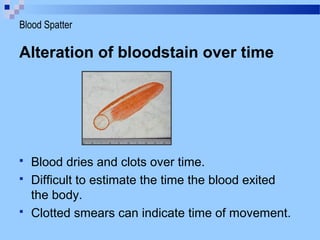 Alteration of bloodstain over time
 Blood dries and clots over time.
 Difficult to estimate the time the blood exited
the body.
 Clotted smears can indicate time of movement.
Blood Spatter
 