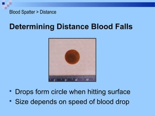 Determining Distance Blood Falls
 Drops form circle when hitting surface
 Size depends on speed of blood drop
Blood Spatter > Distance
 