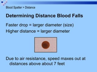 Determining Distance Blood Falls
Faster drop = larger diameter (size)
Higher distance = larger diameter
Due to air resistance, speed maxes out at
distances above about 7 feet
Blood Spatter > Distance
 