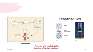 9/3/20XX 24
Fine Line of precipitate at the
interface of the two solutions
 