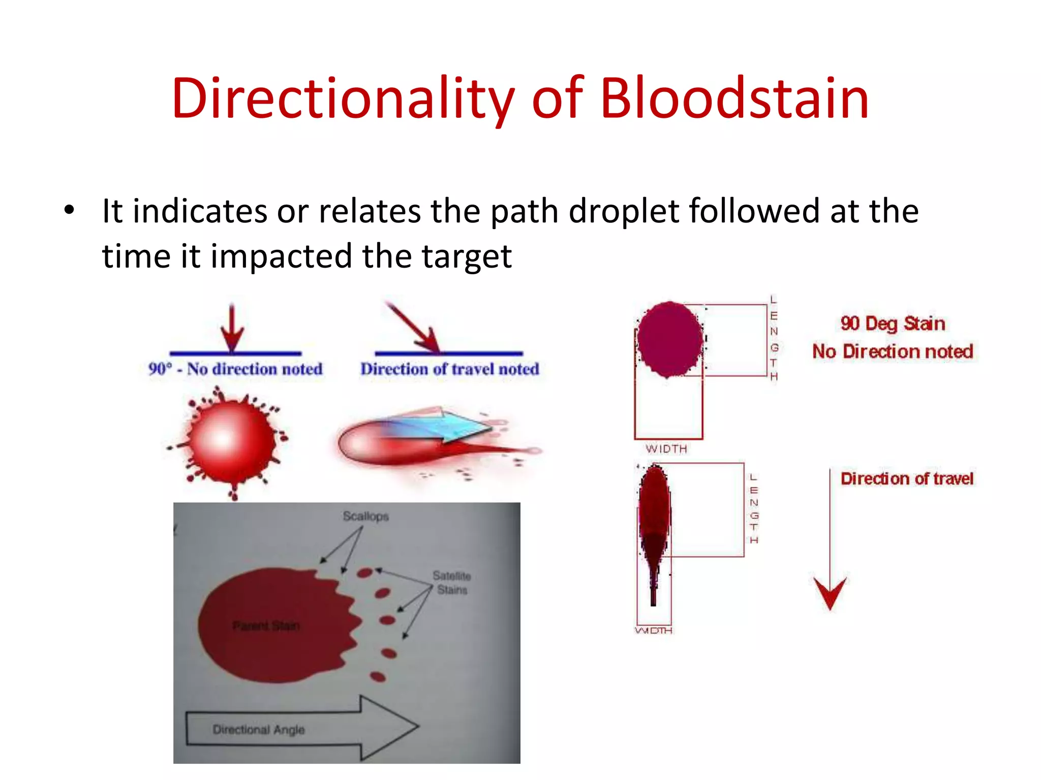 Blood stain pattern analysis | PPT