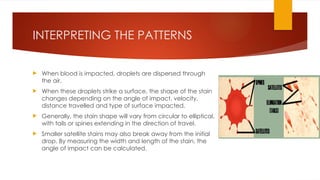 BLOOD_STAIN_PATTERN_ANALYSIS and crime analsysis.pptx