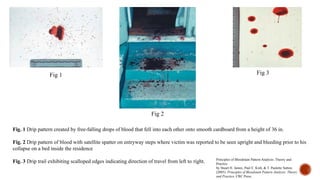 Blood stain pattern analysis In Forensic Science.pptx
