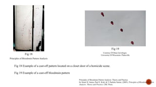 Blood stain pattern analysis In Forensic Science.pptx