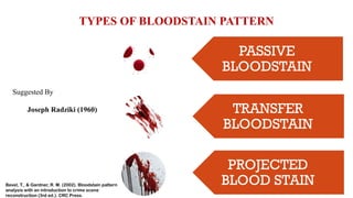 Blood stain pattern analysis In Forensic Science.pptx