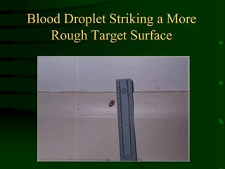 Blood Droplet Striking a More Rough Target Surface