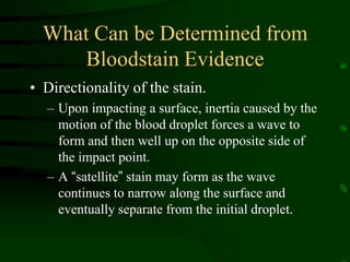 What Can be Determined from Bloodstain EvidenceDirectionality of the stain.Upon impacting a surface, inertia caused by the motion of the blood droplet forces a wave to form and then well up on the opposite side of the impact point.A “satellite” stain may form as the wave continues to narrow along the surface and eventually separate from the initial droplet.