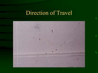 Direction of Travel