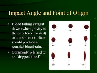 Impact Angle and Point of OriginBlood falling straight down (when gravity is the only force exerted) onto a smooth surface should produce a rounded bloodstain.Commonly referred to as  “dripped blood”.