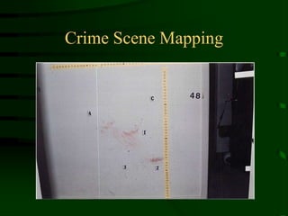 Crime Scene Mapping