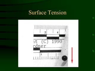 Surface Tension
