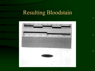Resulting Bloodstain