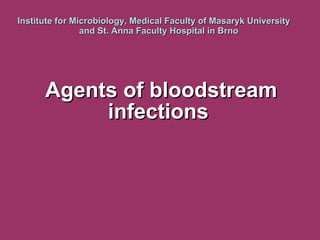 Institute  for  Microbiology, Medical Faculty of Masaryk University  and St. Anna Faculty Hospital  in Brno Agents of  bloodstream infections   