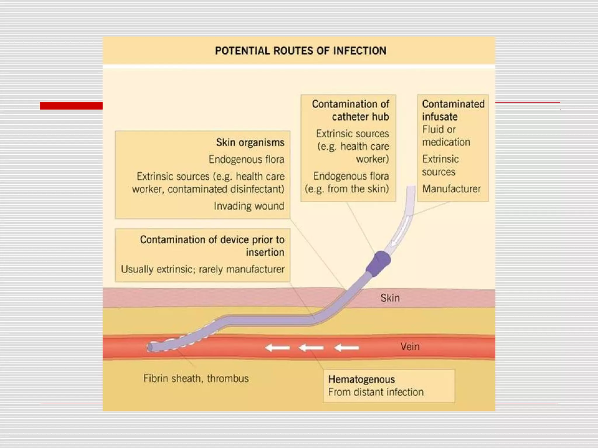 Blood stream infections | PPT