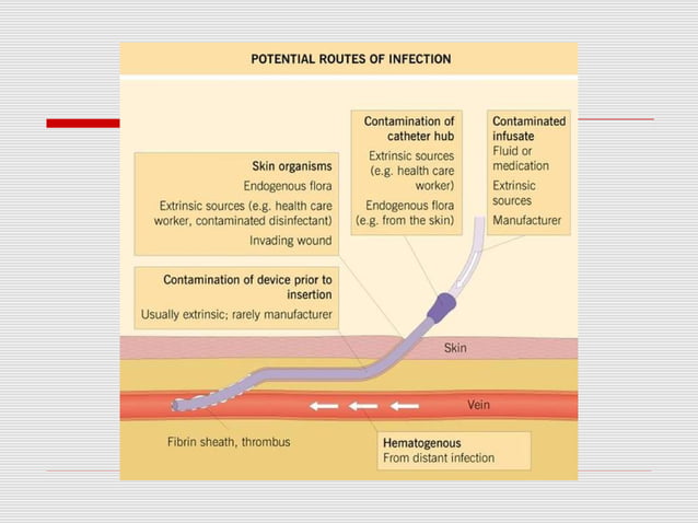Blood stream infections | PPT | Infectious Diseases | Diseases and ...