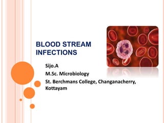BLOOD STREAM
INFECTIONS
Sijo.A
M.Sc. Microbiology
St. Berchmans College, Changanacherry,
Kottayam
 