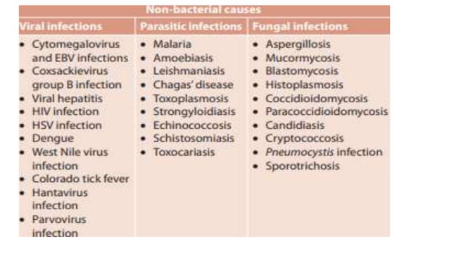 blood stream infections in microbiology CBME curriculum | PPT