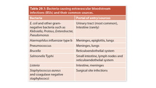 Blood stream infections.pptx hhhhhhhhhhhh | PPTX