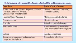 Blood_stream_infections. class for mbbs students | PPTX