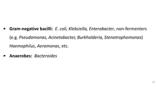 Bacterial Etiology (Cont..)
▰ Gram-negative bacilli: E. coli, Klebsiella, Enterobacter, non-fermenters
(e.g. Pseudomonas, Acinetobacter, Burkholderia, Stenotrophomonas)
Haemophilus, Aeromonas, etc.
▰ Anaerobes: Bacteroides
12
 