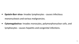Viral Etiology (Cont..)
▰ Epstein-Barr virus- Invades lymphocytes - causes infectious
mononucleosis and various malignancies.
▰ Cytomegalovirus- Invades monocytes, polymorphonuclear cells, and
lymphocytes - causes hepatitis and congenital infections.
14
 