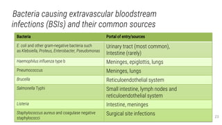 Bacteria causing extravascular bloodstream
infections (BSIs) and their common sources
23
Bacteria Portal of entry/sources
E. coli and other gram-negative bacteria such
as Klebsiella, Proteus, Enterobacter, Pseudomonas
Urinary tract (most common),
Intestine (rarely)
Haemophilus influenza type b Meninges, epiglottis, lungs
Pneumococcus Meninges, lungs
Brucella Reticuloendothelial system
Salmonella Typhi Small intestine, lymph nodes and
reticuloendothelial system
Listeria Intestine, meninges
Staphylococcus aureus and coagulase negative
staphylococci
Surgical site infections
 