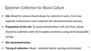 Specimen Collection for Blood Culture
▰ Site: Blood for culture should always be collected in pairs; from two
separate venipuncture and 2 separate skin decontamination process.
▰ Preparation of the site: To avoid contamination with skin flora, blood
should be collected under strict aseptic conditions using sterile disposable
syringe.
▰ Skin decontamination
▰ Timing of collection: Blood - collected before starting antimicrobial 29
 