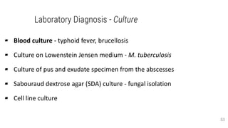 Laboratory Diagnosis - Culture
▰ Blood culture - typhoid fever, brucellosis
▰ Culture on Lowenstein Jensen medium - M. tuberculosis
▰ Culture of pus and exudate specimen from the abscesses
▰ Sabouraud dextrose agar (SDA) culture - fungal isolation
▰ Cell line culture
53
 