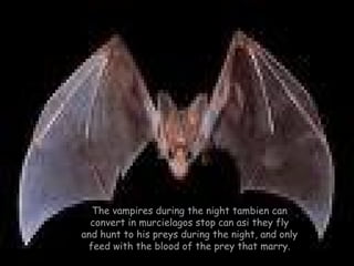 The vampires during the night tambien can convert in murcielagos stop can asi they fly and hunt to his preys during the night, and only feed with the blood of the prey that marry. 