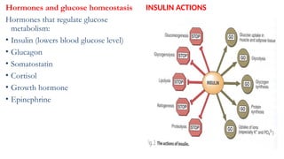 blood sugar control-BY VUREMY IRENE.pptx
