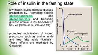 Role of insulin in the fasting state
• low insulin levels increase glucose
production by- Promoting hepatic
gluconeogenesis and
glycogenolysis and Reducing
glucose uptake in insulin-sensitive
tissues (skeletal muscle and fat)
•
• promotes mobilization of stored
precursors such as amino acids
and free fatty acids (lipolysis).
These effects are mediated by
Glucagon.
 