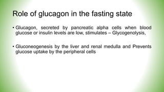 Role of glucagon in the fasting state
• Glucagon, secreted by pancreatic alpha cells when blood
glucose or insulin levels are low, stimulates – Glycogenolysis,
• Gluconeogenesis by the liver and renal medulla and Prevents
glucose uptake by the peripheral cells
 